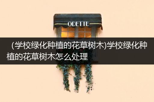 （学校绿化种植的花草树木)学校绿化种植的花草树木怎么处理