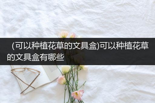 （可以种植花草的文具盒)可以种植花草的文具盒有哪些