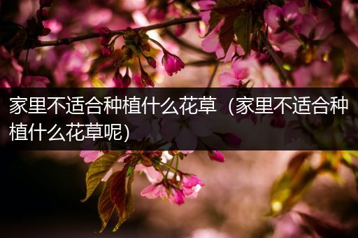 家里不适合种植什么花草（家里不适合种植什么花草呢）