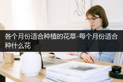 各个月份适合种植的花草-每个月份适合种什么花