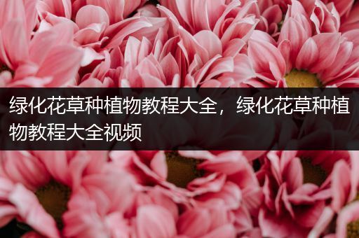 绿化花草种植物教程大全，绿化花草种植物教程大全视频