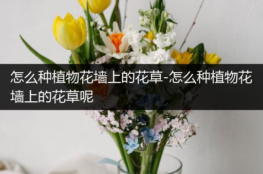 怎么种植物花墙上的花草-怎么种植物花墙上的花草呢