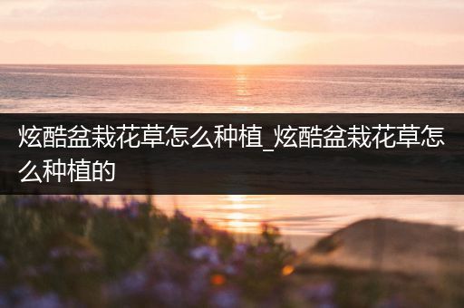 炫酷盆栽花草怎么种植_炫酷盆栽花草怎么种植的