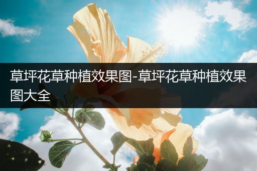 草坪花草种植效果图-草坪花草种植效果图大全