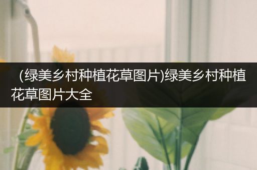 （绿美乡村种植花草图片)绿美乡村种植花草图片大全