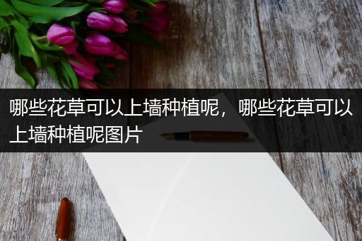 哪些花草可以上墙种植呢，哪些花草可以上墙种植呢图片