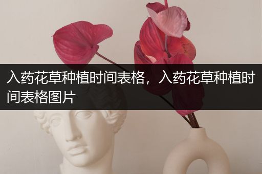 入药花草种植时间表格，入药花草种植时间表格图片