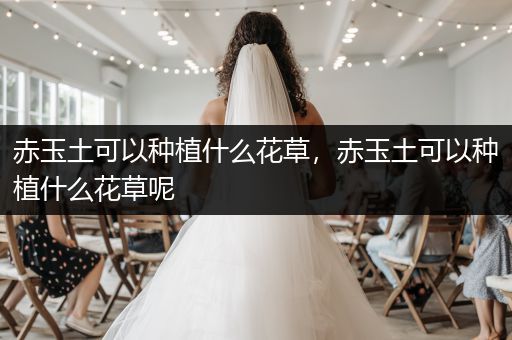 赤玉土可以种植什么花草，赤玉土可以种植什么花草呢