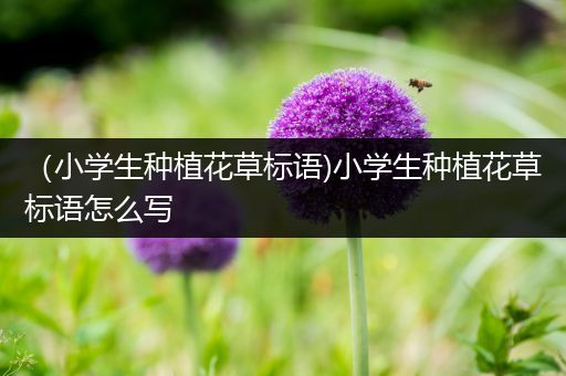 （小学生种植花草标语)小学生种植花草标语怎么写