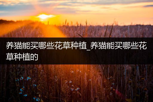 养猫能买哪些花草种植_养猫能买哪些花草种植的
