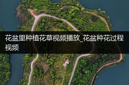 花盆里种植花草视频播放_花盆种花过程视频
