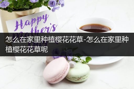 怎么在家里种植樱花花草-怎么在家里种植樱花花草呢
