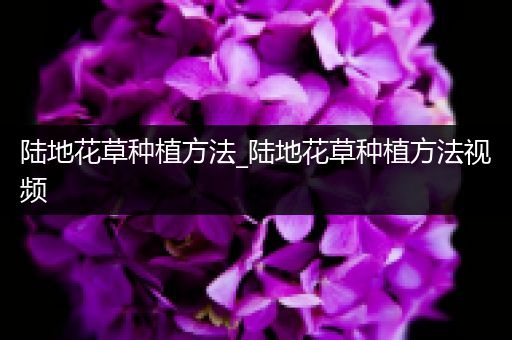 陆地花草种植方法_陆地花草种植方法视频