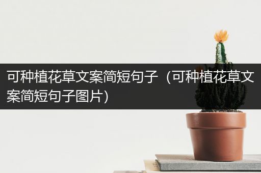 可种植花草文案简短句子（可种植花草文案简短句子图片）