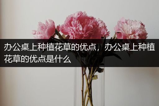 办公桌上种植花草的优点，办公桌上种植花草的优点是什么
