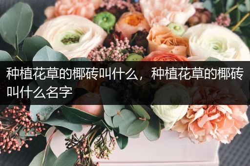 种植花草的椰砖叫什么，种植花草的椰砖叫什么名字
