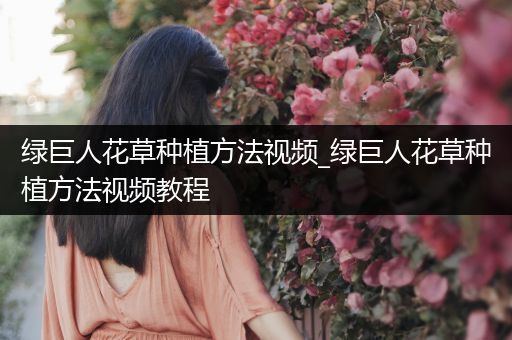绿巨人花草种植方法视频_绿巨人花草种植方法视频教程