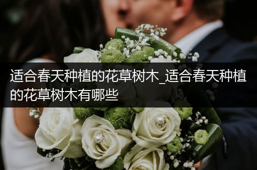 适合春天种植的花草树木_适合春天种植的花草树木有哪些