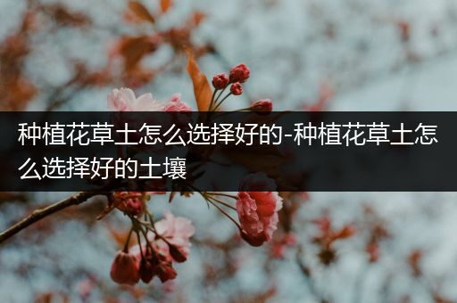 种植花草土怎么选择好的-种植花草土怎么选择好的土壤