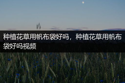 种植花草用帆布袋好吗，种植花草用帆布袋好吗视频