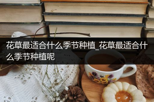 花草最适合什么季节种植_花草最适合什么季节种植呢