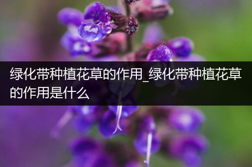 绿化带种植花草的作用_绿化带种植花草的作用是什么