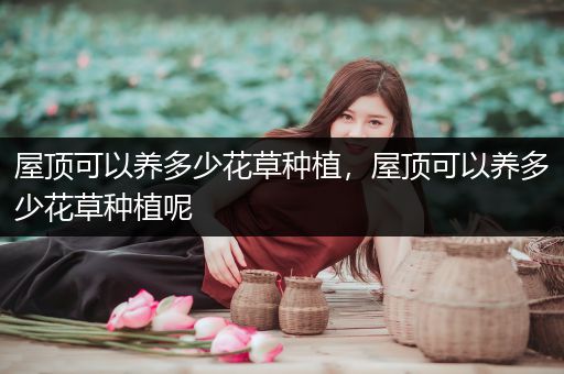 屋顶可以养多少花草种植，屋顶可以养多少花草种植呢
