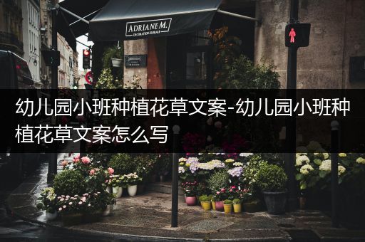 幼儿园小班种植花草文案-幼儿园小班种植花草文案怎么写