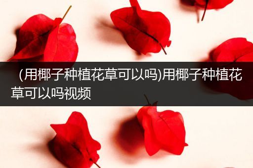 （用椰子种植花草可以吗)用椰子种植花草可以吗视频