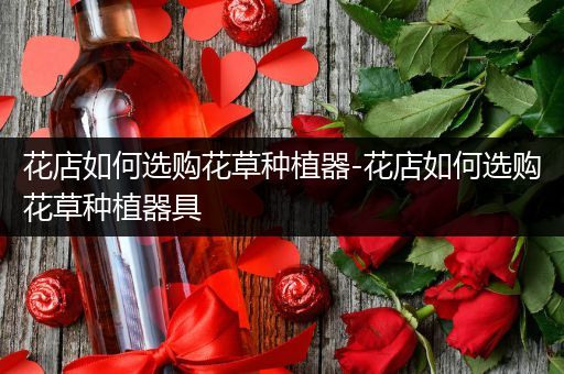 花店如何选购花草种植器-花店如何选购花草种植器具