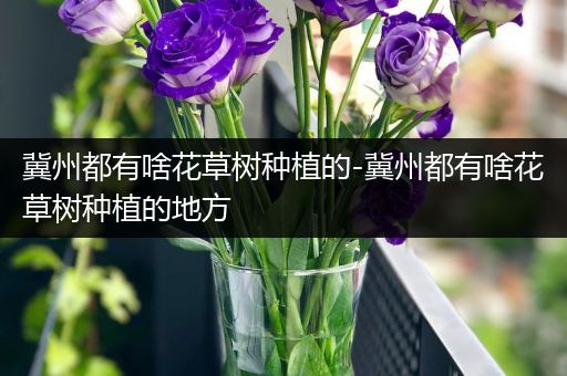 冀州都有啥花草树种植的-冀州都有啥花草树种植的地方