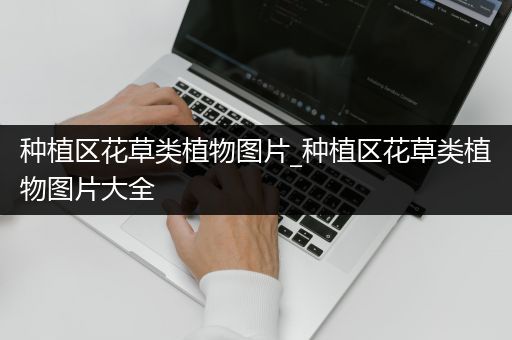 种植区花草类植物图片_种植区花草类植物图片大全