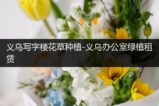 义乌写字楼花草种植-义乌办公室绿植租赁
