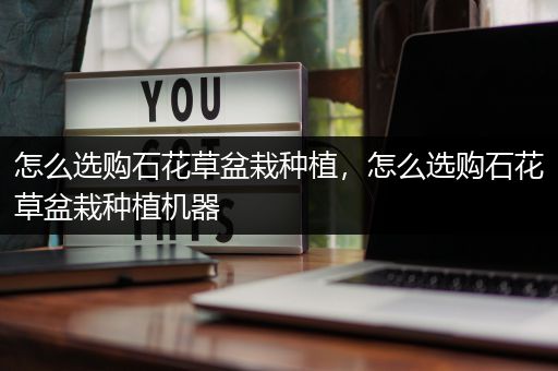 怎么选购石花草盆栽种植，怎么选购石花草盆栽种植机器