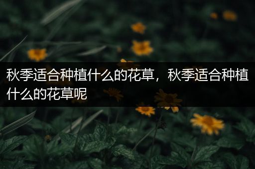 秋季适合种植什么的花草，秋季适合种植什么的花草呢