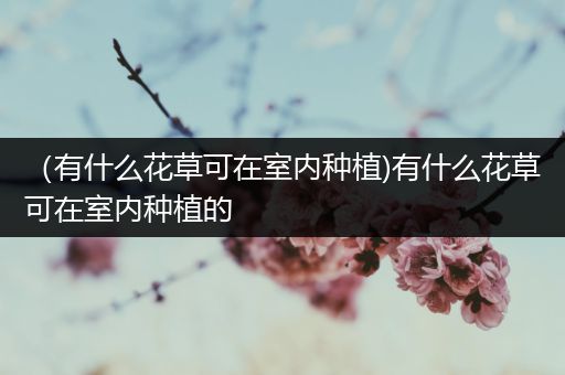 （有什么花草可在室内种植)有什么花草可在室内种植的