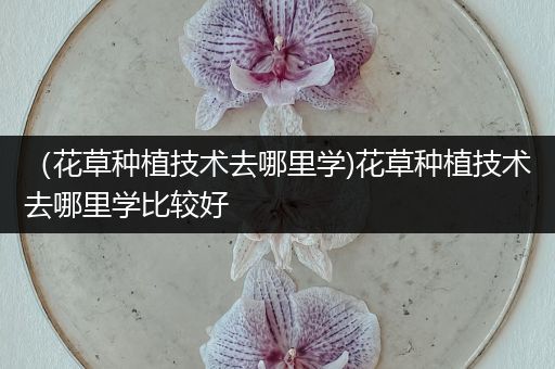 （花草种植技术去哪里学)花草种植技术去哪里学比较好