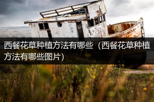 西餐花草种植方法有哪些（西餐花草种植方法有哪些图片）