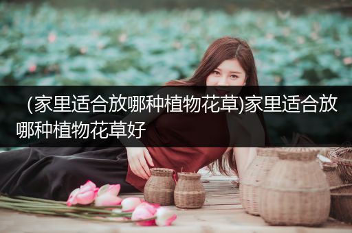 （家里适合放哪种植物花草)家里适合放哪种植物花草好