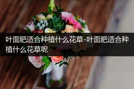 叶面肥适合种植什么花草-叶面肥适合种植什么花草呢