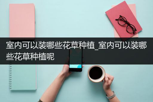室内可以装哪些花草种植_室内可以装哪些花草种植呢
