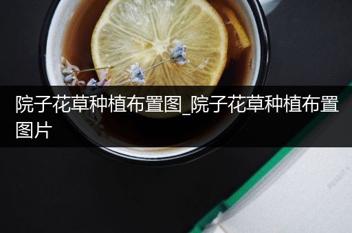 院子花草种植布置图_院子花草种植布置图片