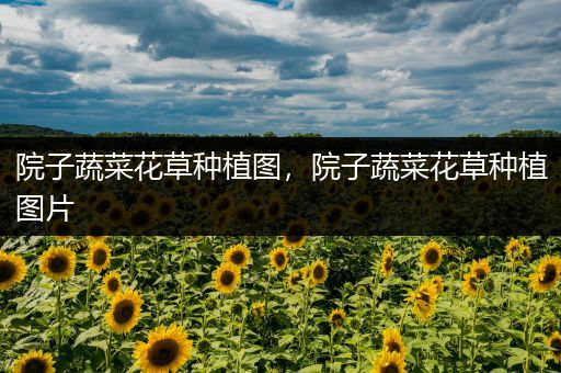 院子蔬菜花草种植图，院子蔬菜花草种植图片