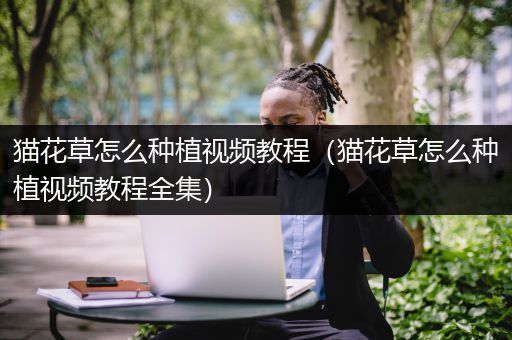 猫花草怎么种植视频教程（猫花草怎么种植视频教程全集）