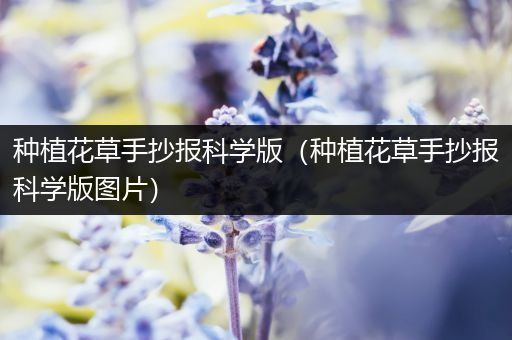 种植花草手抄报科学版（种植花草手抄报科学版图片）
