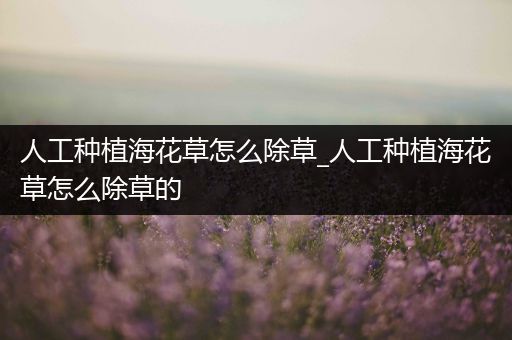 人工种植海花草怎么除草_人工种植海花草怎么除草的