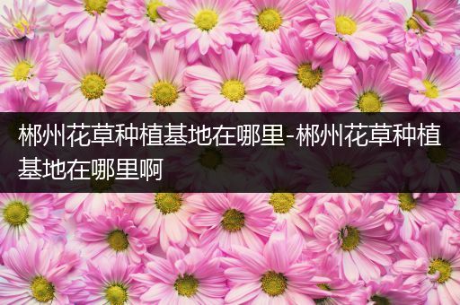 郴州花草种植基地在哪里-郴州花草种植基地在哪里啊