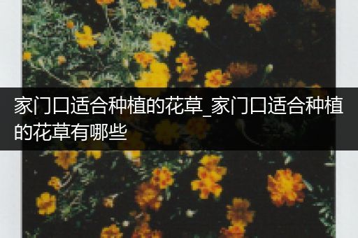 家门口适合种植的花草_家门口适合种植的花草有哪些