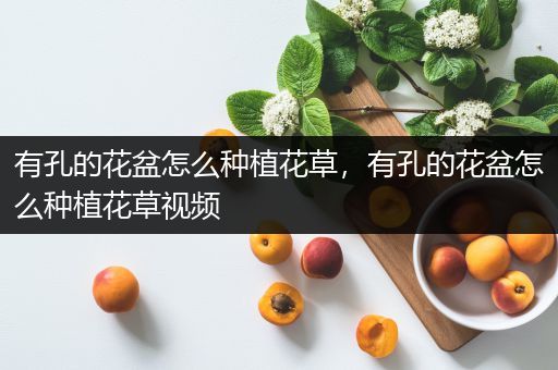 有孔的花盆怎么种植花草，有孔的花盆怎么种植花草视频