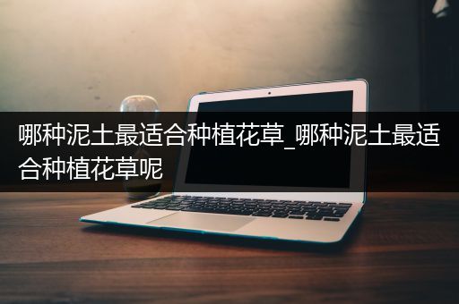 哪种泥土最适合种植花草_哪种泥土最适合种植花草呢